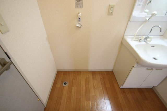 ディアス　ミヨシのその他