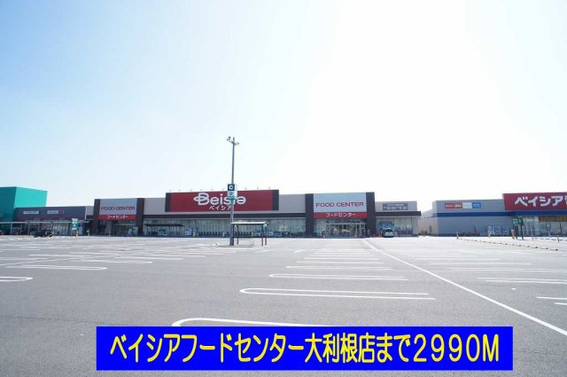 アルト・プエンテの周辺|ベイシアフードセンター大利根店まで2990m