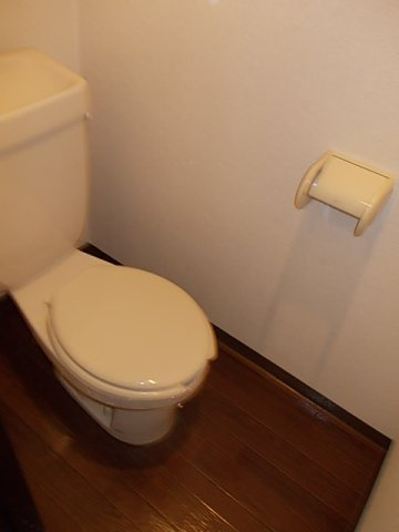ドリームハイツ辻Ｂのトイレ