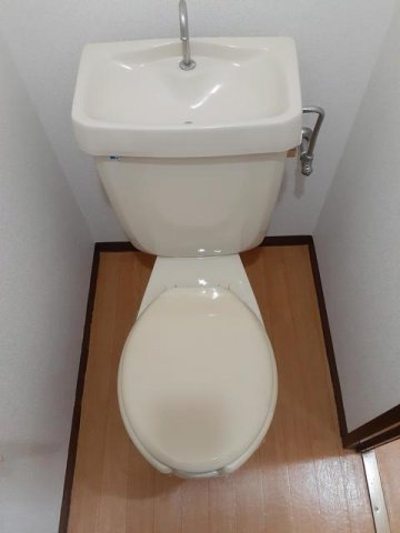 ドリームハイツ辻Ａのトイレ