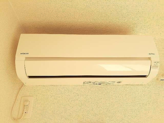 ロータスのその他