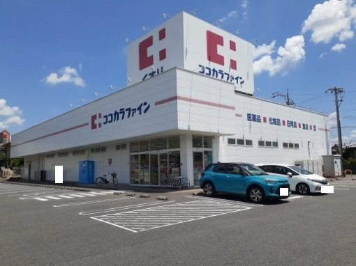 ドゥ・ロジュマンⅤの周辺|ココカラファインまで1000m