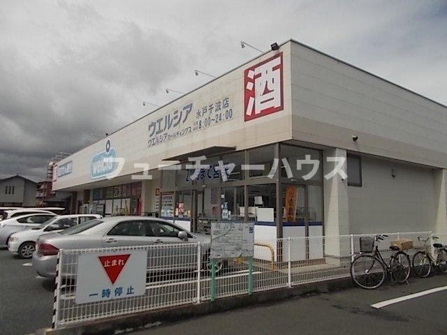 Ｆｉｎｅの周辺|ウエルシア水戸千波店まで250m