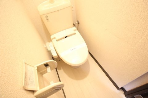 レオネクスト風のその他