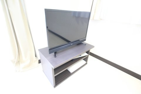 レオネクスト風のその他