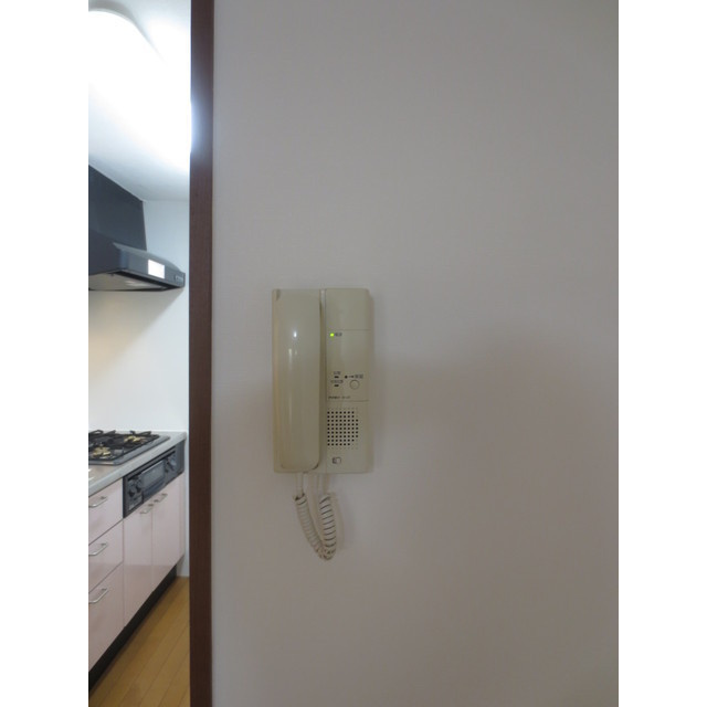 メゾン・ラフィーネのセキュリティ|同建物内別のお部屋の参考写真になります。