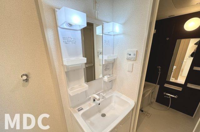フランメゾン南沖洲Ａの洗面所