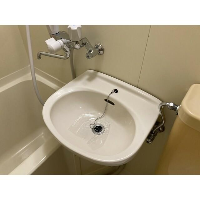 ダリアの洗面所