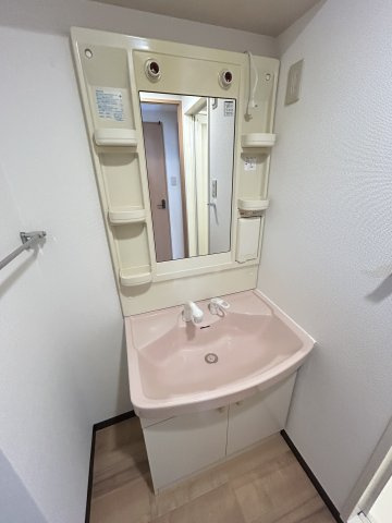 エスタブレ南森町の洗面所