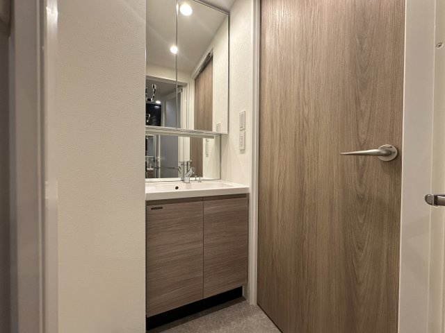 川崎市多摩区宿河原６丁目の賃貸マンションの独立洗面台