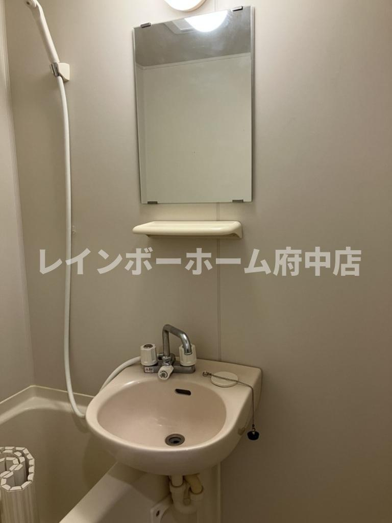 メゾンド・ドゥミューの洗面所
