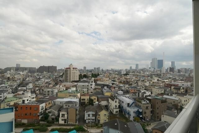 ＲＡＳＩＳ　大山‐山手通りの展望