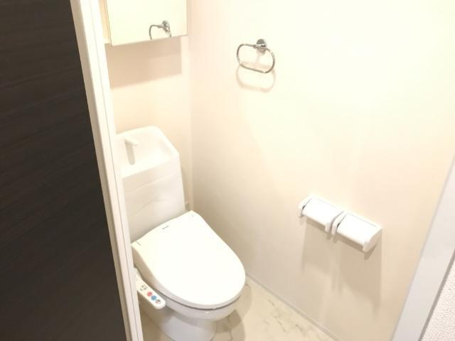 稲城市大丸の賃貸マンションのトイレ