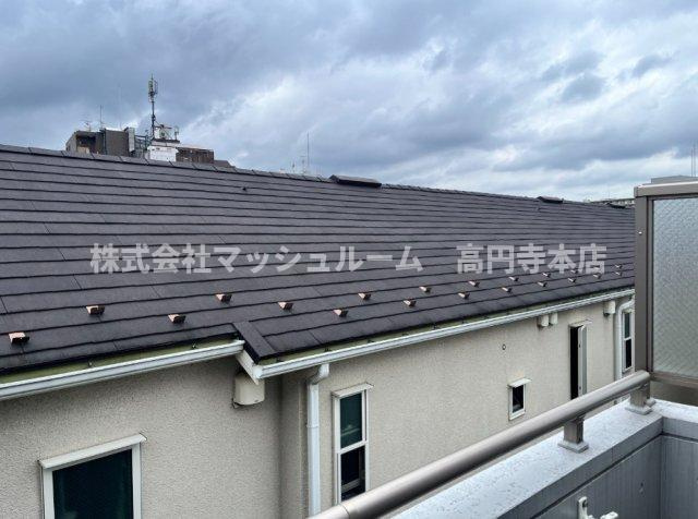 ティユール岡本の展望