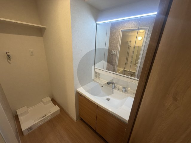 ハイラインⅤの洗面所