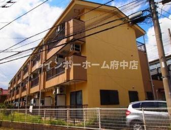 エバーグレイス分倍のその他