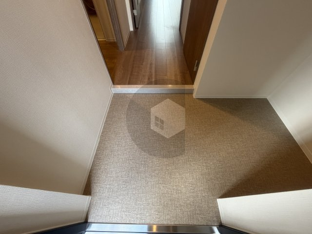 ハイラインⅤの玄関