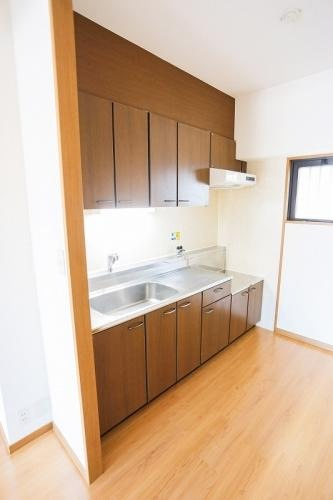 福岡市南区向野２丁目の賃貸マンションのキッチン|物件の画像4
