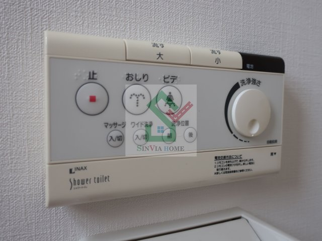 マロニエのその他
