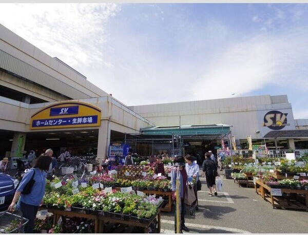 アビタシオン一番館の周辺