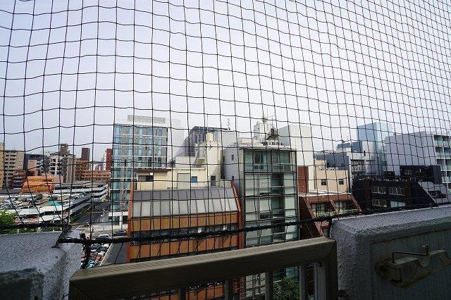 福岡市博多区博多駅東２丁目の賃貸マンションの展望|物件の画像13