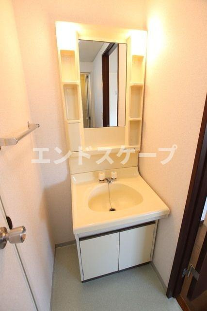 ラフォーレ棟高の洗面所|高崎、前橋のお部屋探しはエンドスケープまで！お客様の理想お聞かせ下さい♪