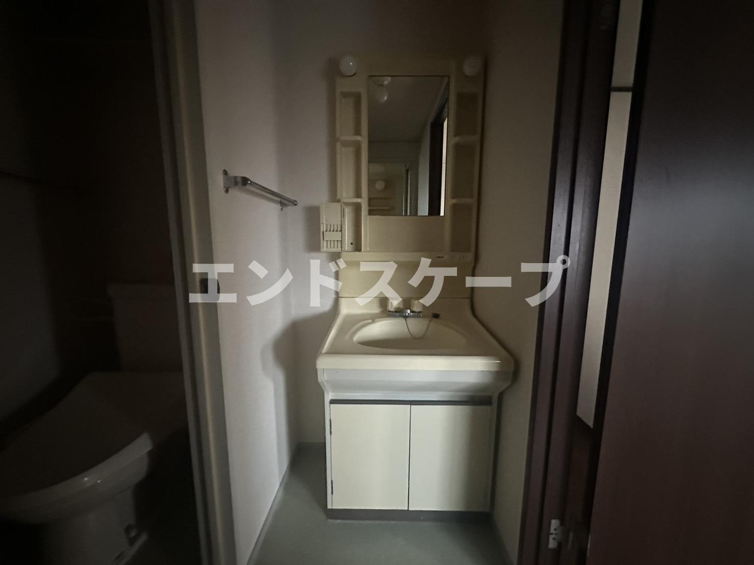 ラフォーレ棟高の洗面所|高崎、前橋のお部屋探しはエンドスケープまで！お客様の理想お聞かせ下さい♪