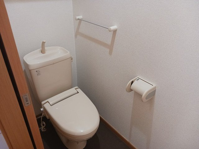 落ち着いた色調のトイレです