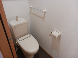 落ち着いた色調のトイレです