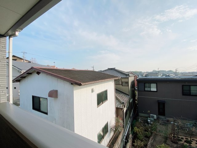 アカンサスⅣの展望