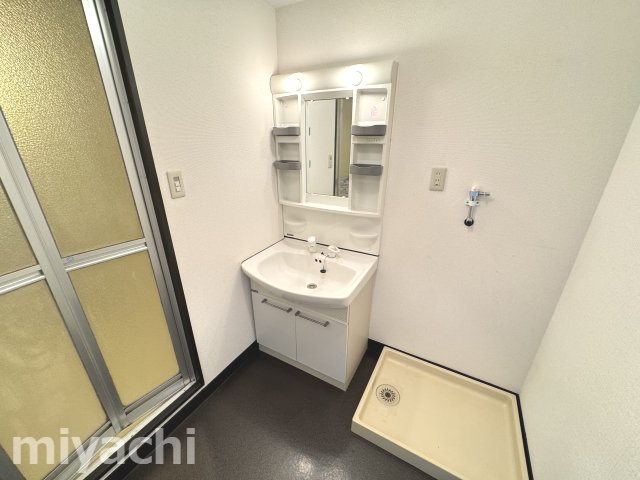 ガーデンヒルズ藍住IIの洗面所