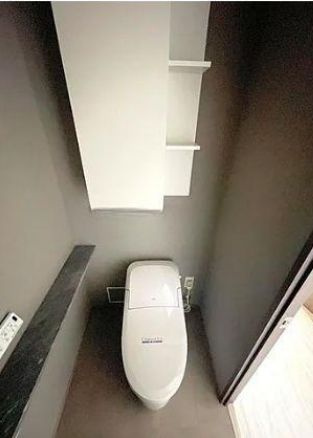 猿江恩賜公園レジデンスのトイレ|落ち着いた色調のトイレです