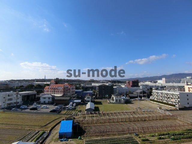 アルンドーインディカの展望