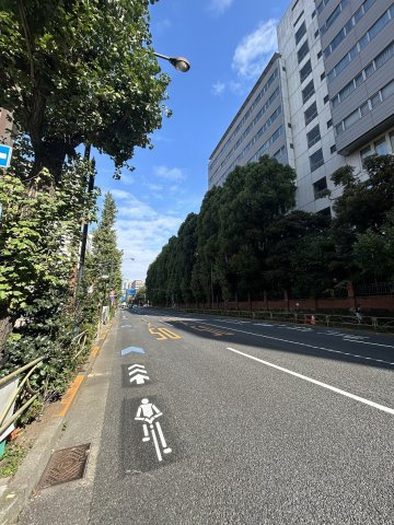 ペガサスマンション本郷の周辺|前面道路