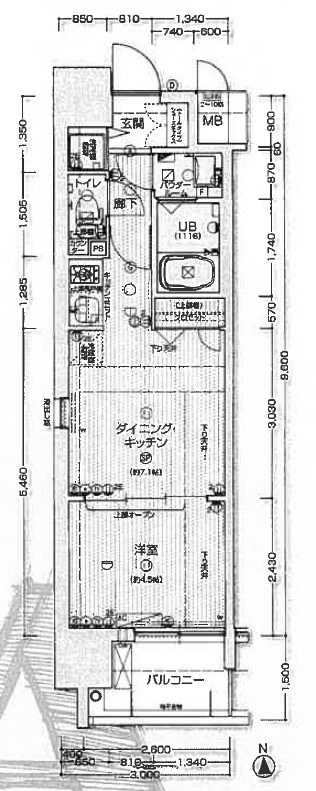 スワンズシティ心斎橋アネーロの間取り