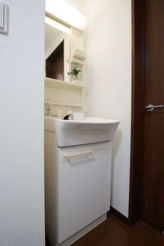 グレージュ大森の独立洗面台