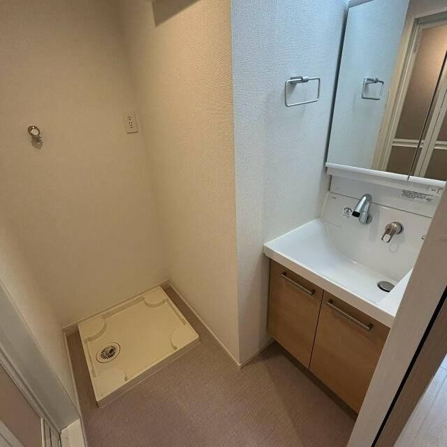 ドルチェ桜新町の独立洗面台