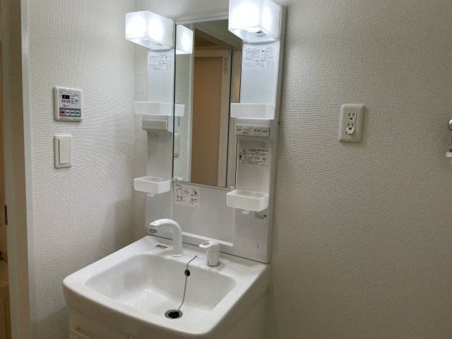 ブライズ亀戸DUEの洗面所