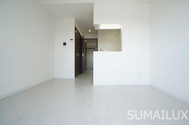 熊本市西区蓮台寺２丁目の賃貸マンションの居間・リビング