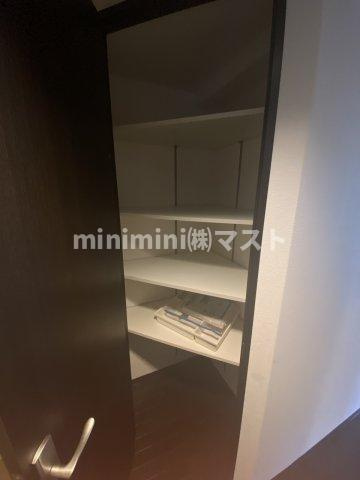 エルセレーノ上本町レジデンスの収納