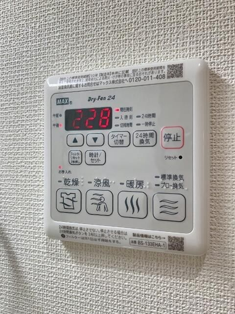 Ｂｅｌｌｕｓ　Ｉｒｉｙａのその他