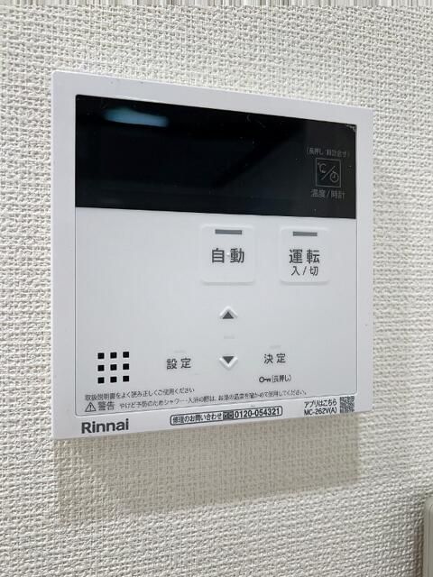 Ｂｅｌｌｕｓ　Ｉｒｉｙａのその他