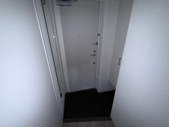 セレニテ神戸プリエの玄関|別タイプのお写真です。