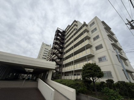 志木ハイデンスの外観|外観です。敷地内公園有り。　大切なペットと一緒に暮らせるマンションです(細則有)
