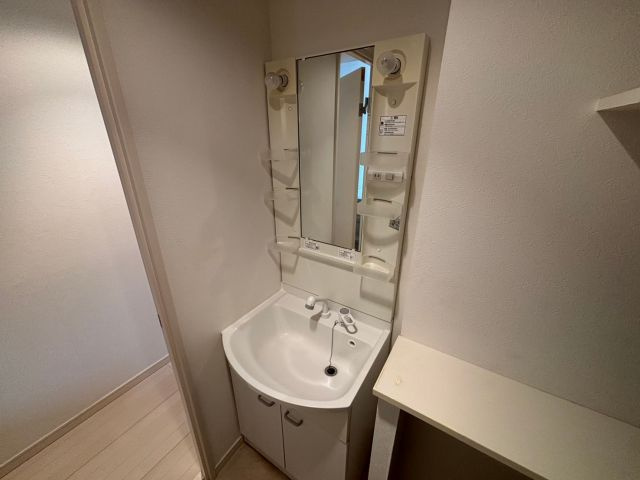 福岡市南区南大橋１丁目のアパートの洗面所