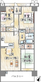宝塚エリーの画像