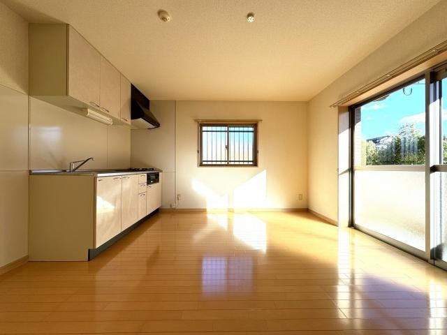 セノーテのその他