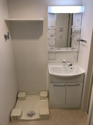 ブライズ板橋クレヴィスタの洗面所
