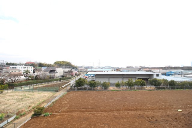 パストラルポートの展望
