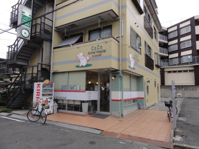 コルテ鶴見のその他|ココ動物病院